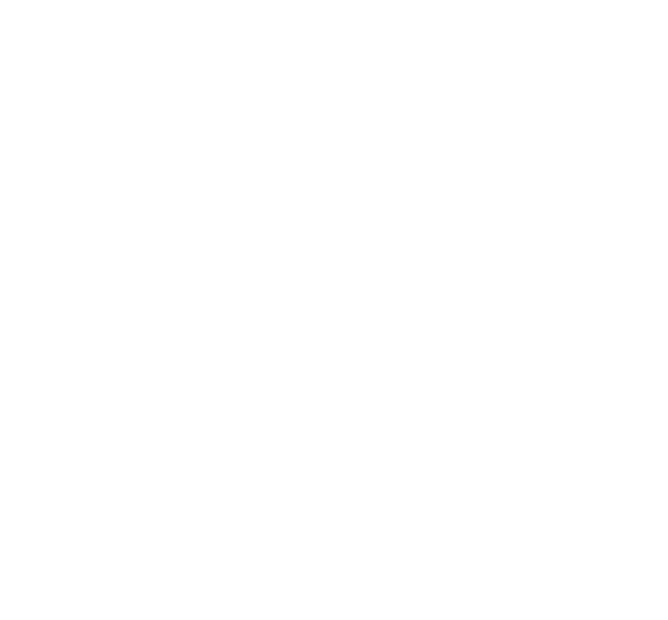 background logo